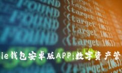 全面解析Bitpie钱包安卓版