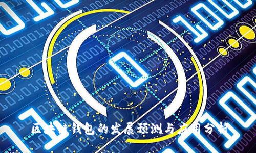 区块链钱包的发展预测与应用分析