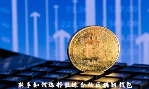 
新手如何选择最适合的区块链钱包