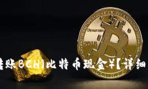 如何在TPWallet中转账BCH（比特币现金）？详细指南与常见问题解答