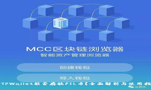 : TPWallet能否存放FIL币？全面解析与使用指南
