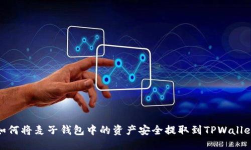 如何将麦子钱包中的资产安全提取到TPWallet
