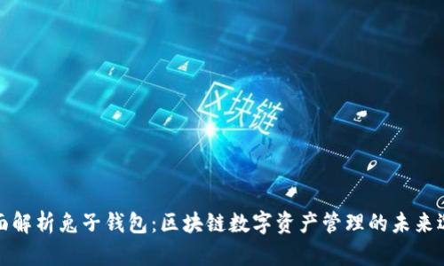 全面解析兔子钱包：区块链数字资产管理的未来选择