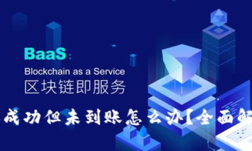TPWallet转账成功但未到账怎么办？全面解析与解决方案