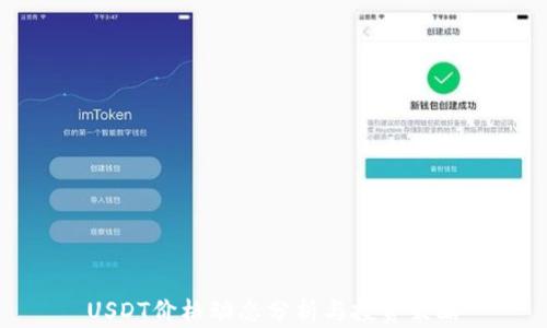 
USDT价格动态分析与投资策略