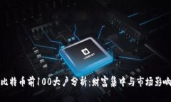比特币前100大户分析：财