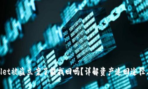 tpwallet被盗立案了能找回吗？详解资产追回途径与建议