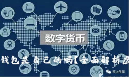 虚拟币平台钱包是自己的吗？全面解析虚拟币安全性