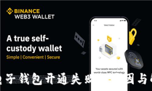  
虚拟币电子钱包开通失败的原因与解决方案
