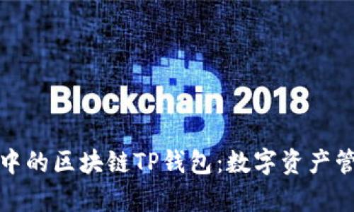 探索元宇宙中的区块链TP钱包：数字资产管理的新纪元