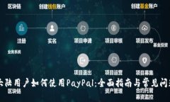中国大陆用户如何使用P