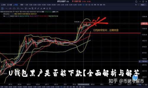 U钱包黑户是否能下款？全面解析与解答