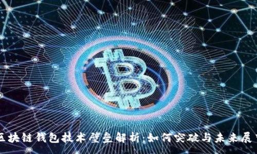 :
区块链钱包技术壁垒解析：如何突破与未来展望