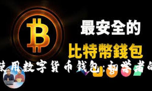 如何安全使用数字货币钱包：初学者的全面指南