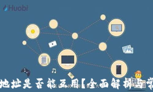
虚拟币钱包地址是否能互用？全面解析与常见问题解答