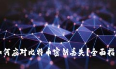 如何应对比特币密钥丢失