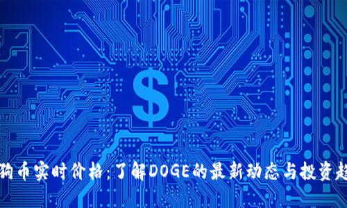 狗狗币实时价格：了解DOGE的最新动态与投资趋势