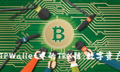 深入了解TPWallet中的TRX链：数字资产的新纪元