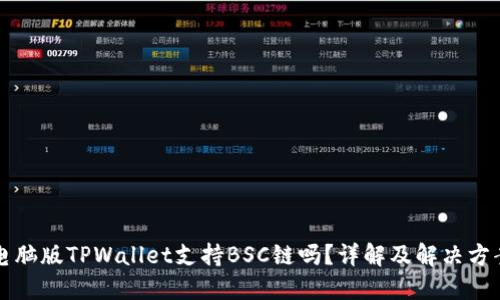 电脑版TPWallet支持BSC链吗？详解及解决方案