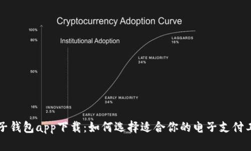 电子钱包app下载：如何选择适合你的电子支付工具