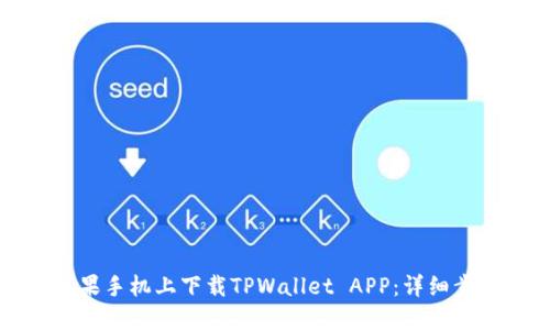 如何在苹果手机上下载TPWallet APP：详细步骤和技巧