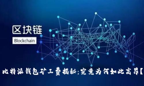 比特派钱包矿工费揭秘：究竟为何如此高昂？