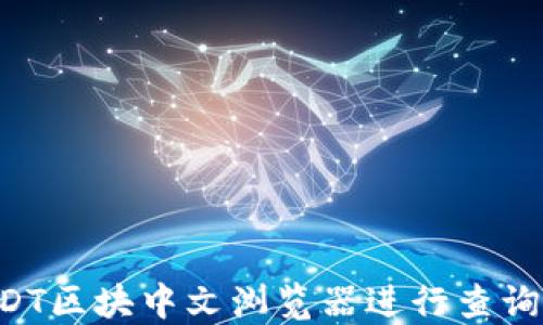 
如何使用USDT区块中文浏览器进行查询 | 新手指南