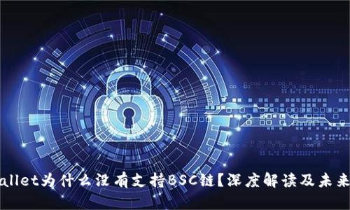 TPWallet为什么没有支持BSC链？深度解读及未来展望
