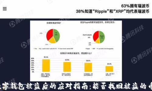 
数字钱包被盗后的应对指南：能否找回被盗的币？