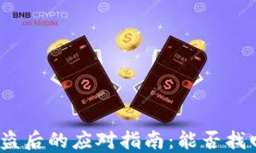 
数字钱包被盗后的应对指南：能否找回被盗的币？