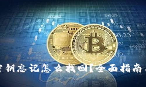 tpwallet密钥忘记怎么找回？全面指南与有效策略