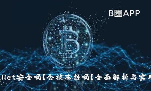 TPWallet安全吗？会被冻结吗？全面解析与实用指南