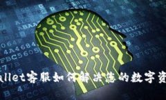 :  TPWallet客服如何解决您的数字资产问题？