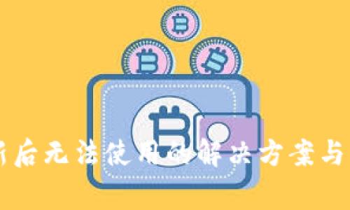 TPWallet更新后无法使用的解决方案与常见问题分析