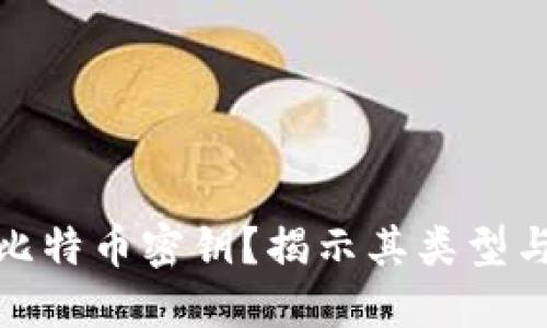 什么是比特币密钥？揭示其类型与重要性