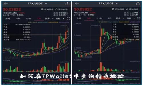 如何在TPWallet中查询持币地址