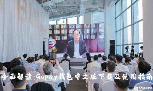 全面解读：Gopay钱包中文版下载及使用指南