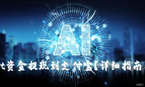 如何将TPWallet资金提现到支付宝？详细指南与常见问题解析