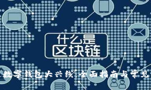 如何开通数字钱包大兴线：全面指南与常见问题解答