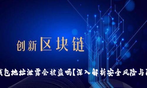 区块链钱包地址泄露会被盗吗？深入解析安全风险与防护措施