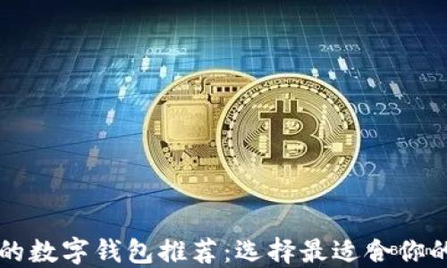 
美国最大的数字钱包推荐：选择最适合你的支付方式