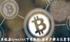 中本聪在tpwallet下载教程：简单步骤与注意事项