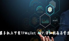 如何在苹果手机上下载TPWallet APP：详细指南与常