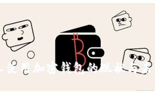美国人使用加密钱包的现状与未来分析