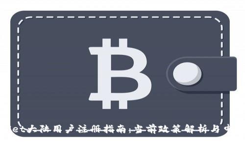 TPWallet大陆用户注册指南：当前政策解析与申请步骤