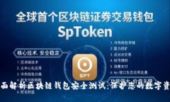 全面解析区块链钱包安全测试：保护您的数字资