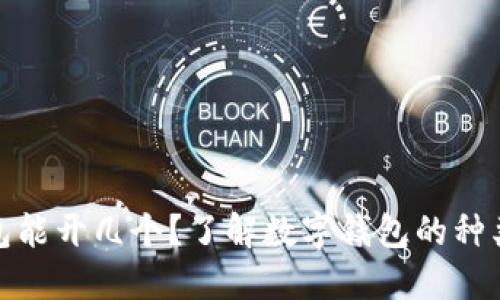 数字货币钱包能开几个？了解数字钱包的种类与使用技巧