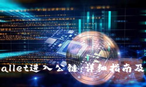 如何使用TPWallet进入公链：详细指南及常见问题解答