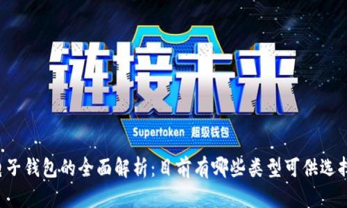 电子钱包的全面解析：目前有哪些类型可供选择？