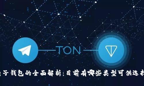 电子钱包的全面解析：目前有哪些类型可供选择？